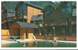 USA, Mt. Alyeska Nugget Inn, Alaska,unused Postcard [P8084] - Other & Unclassified