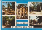 Saint Brevin Les Pins Les Colombes 1978 - Saint-Brevin-les-Pins