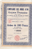 6308# ACTION DE 100 FR COMPAGNIE DES MINES D´ OR DE LA GUYANE FRANCAISE 1926 - Mines