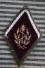 Grade De Général à Identifier !! MILITARIA BLASON ECUSSON TISSU Dessin Doré S/fond Noir Liseré Blanc Support Kaki Milit - Patches