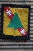 MILITARIA BLASON ECUSSON TISSU à Identifier? : Couleur Jaune Vert Rouge Blanc Aigle Et Sapin Sur Fond Noir - Blazoenen (textiel)