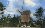 Kasterlee :  Standaard Molen    ( Geschreven Met Zegel ) - Kasterlee