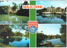 Carte Postale 72. Malicorne Blason  Trés Beau Plan - Malicorne Sur Sarthe