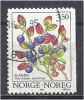 NORWAY 1995 Wild Berries - 3k50 Bilberry ("Vaccinium Myrtillus") FU - Gebraucht