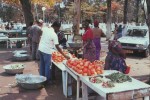 PORT GENTIL - Scène De  Marché - (carte  Animée) - Gabon