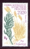 T.A.A.F. N°220 Flore - Poa Kerguelensis - Unused Stamps