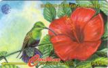 BRITISH VIRGIN ISLANDS COLIBRI HIBISCUS UT 91 CBVA... - Jungferninseln (Virgin I.)