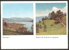 OBER- Und UNTERÄGERI Aegerisee Morgarten-Denkmal 2-Bilder-Karte 1975 - Unterägeri