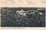 Bloemendaal  Panorama Vanaf Het Kopje - Bloemendaal