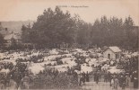 MOULINS  -  Champ  De  Foire  -  Marché  Aux  Bestiaux  -  Carte  Précurseur ( Carte Animée ). - Moulin Engilbert