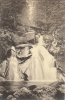 Etr - All - TRIBERG - Wasserfall IV Fall - Triberg