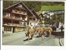 CP ALPABTRIEB - Fürstentum Liechtenstein - Liechtenstein