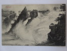 RHEINFALL DE FLORIAN OSVALDO NEUHAUSEN N°5175 - Neuhausen Am Rheinfall