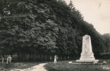 LAMARCHE - Les Promenades Et Le Monument Charles Renard - Lamarche