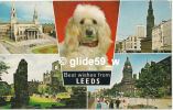 Best Wishes From LEEDS - Multi-vues - Leeds