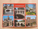 CAMBRIDGE - Multivues - Cambridge