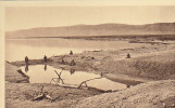 PALESTINE / MER MORTE     //////  REF22510 - Palestine