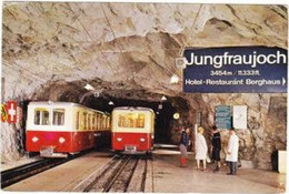 Bergstation Jungfraujoch - Berg