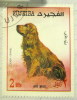 Fujeira 1970 Spaniel Dog 2r - Used - Fudschaira