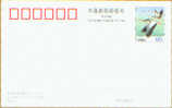 PP111 2005 CHINA Wide GOOSE POSTAGE CARD - Oche