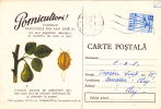 APPLES AND PEARS, SAN JOSE LOUSE - MOST DAMAGING WORM, 1972, CARD STATIONERY, ENTIER POSTAL, SENT TO MAIL, ROMANIA - Gemüse