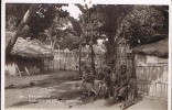 CPA.       BRAZZAVILLE.      Intérieur De Village Indigène. - Brazzaville