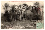 Dammarie Les Lys, Ruines De L'Abbaye Du Lys, Collection Des Galeries Melunoises - Dammarie Les Lys