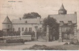 Senzeilles Senzeille Château  ( Voir Dos De La CP ) - Cerfontaine