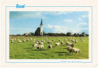 Nederland/Holland, Texel, Kerkje Van Den Hoorn, 1989 - Texel
