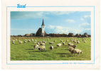 Nederland/Holland, Texel, Kerkje Van Den Hoorn, 1991 - Texel