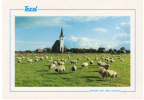 Nederland/Holland, Texel, Kerkje Van Den Hoorn, 1992 - Texel