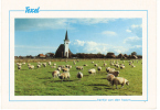 Nederland/Holland, Texel, Kerkje Van Den Hoorn, 1998 - Texel