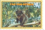 SI53D Australia Victoria Coala Series Rose  Nr. 2261 Post Card  Usata Non Viaggiata - Altri & Non Classificati