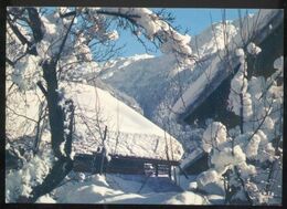 CPM Contre La Lumière VILLAGE SOUS LA NEIGE - Contre La Lumière