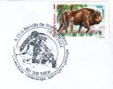 ELEFANT, POLAR PHILATELY, 2004, SPECIAL COVER, OBLITERATION CONCORDANTE, ROMANIA - Elefanten