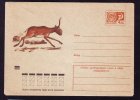 DEER, 1974, COVER STATIONERY, ENTIER POSTAL, UNUSED, RUSSIA - Gibier