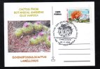 CACTUS FROM BOTANICAL GARDEN CLUJ NAPOCA, 2005, SPECIAL CARD, OBLITERATION CONCORDANTE, ROMANIA - Cactusses