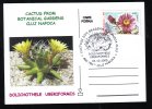 CACTUS FROM BOTANICAL GARDEN CLUJ NAPOCA, 2005, SPECIAL CARD, OBLITERATION CONCORDANTE, ROMANIA - Cactusses