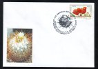 CACTUS FROM BOTANICAL GARDEN CLUJ NAPOCA, 2006, SPECIAL COVER, OBLITERATION CONCORDANTE, ROMANIA - Cactus