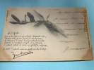 CPA Précurseur De 1904 La Cigale, Poème De Jean Aicard" Mes 4 Ailes…"la Provence CPA Postée à Saint-Hippolyte Du - Insects