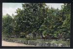 RB 843 - Early Postcard - Chestnut Tree - Langley House Abbots Langley Hertfordshire - Hertfordshire