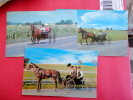 Amish-  5  Different Cards-- All Shown  Early Chrome  L  ---===  --- -ref 447 - Unclassified