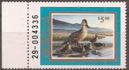 UNITED STATES -  1987 Montana Duck Hunting Stamp. MNH **  (004336) - Duck Stamps