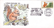 SQUIRREL 1993, SPECIAL COVER, OBLITERATION CONCORDANTE, ROMANIA - Roedores