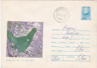 MOUNTAIN COCK, PRECIOUS HUNTING, 1975, COVER STATIONERY, ENTIER POSTAL, SENT TO MAIL, ROMANIA - Cuckoos & Turacos