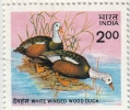 INDIA-1985- Rare Bird Stamp- White Winged Wood Duck- MNH ( SG 1159)-Oiseau Rare Timbre Blanc à Ailes De Canard Branchu- - Canards