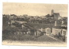 Champtoceaux (49) : Vue  Générale Sur Les Ruches D'un Domaine Dans Les Faubourgs  En 1910 RARE. - Champtoceaux