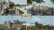 PAYS De GALLES, Casles Of Wales, Multivues, écrite, Non Timbrée, Carte A Système, 12 Petites Photos - Other & Unclassified