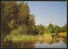 Waldweiher Bei PFYN TG Naturreservat Frauenfeld 1978 - Frauenfeld