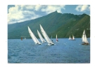 Cp, Voile, Régates à Voiles Sur Le Lac Du Bourget (73) Et La Dent Du CHat, Voyagée 1978 - Sailing